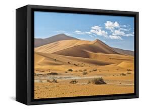 "Mama Dune" at Sossusvlei, Namibia-Frances Gallogly-Framed Stretched Canvas