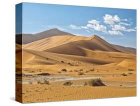 "Mama Dune" at Sossusvlei, Namibia-Frances Gallogly-Stretched Canvas