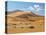 "Mama Dune" at Sossusvlei, Namibia-Frances Gallogly-Stretched Canvas