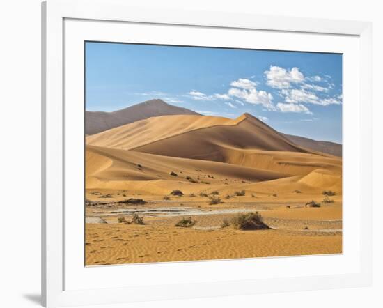 "Mama Dune" at Sossusvlei, Namibia-Frances Gallogly-Framed Photographic Print