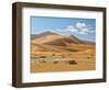 "Mama Dune" at Sossusvlei, Namibia-Frances Gallogly-Framed Photographic Print