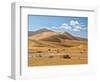 "Mama Dune" at Sossusvlei, Namibia-Frances Gallogly-Framed Photographic Print