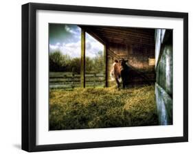 Mama-Stephen Arens-Framed Photographic Print