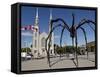 Maman Sculpture, in Front of the Cathedral and Basilica of Notre Dame, Ottawa, Ontario, Canada-De Mann Jean-Pierre-Framed Stretched Canvas