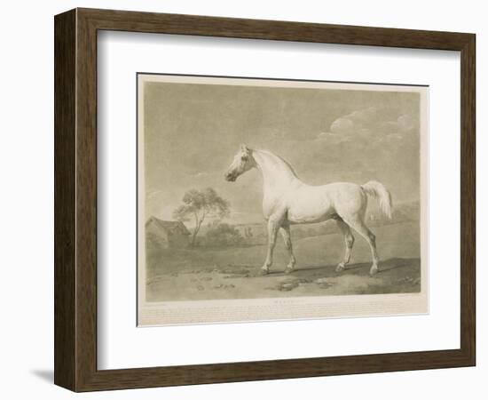 Mambrino, after George Stubbs, 1788-Charles Howard Hodges-Framed Giclee Print