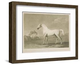 Mambrino, after George Stubbs, 1788-Charles Howard Hodges-Framed Giclee Print