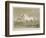 Mambrino, after George Stubbs, 1788-Charles Howard Hodges-Framed Giclee Print