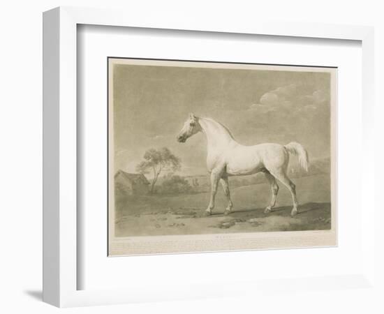 Mambrino, after George Stubbs, 1788-Charles Howard Hodges-Framed Giclee Print