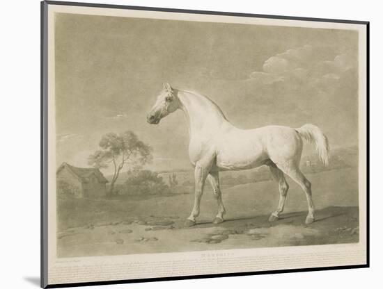 Mambrino, after George Stubbs, 1788-Charles Howard Hodges-Mounted Giclee Print