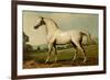 Mambrino-Samuel Sidney-Framed Premium Giclee Print