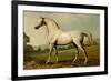 Mambrino-Samuel Sidney-Framed Premium Giclee Print