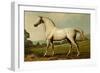 Mambrino-Samuel Sidney-Framed Art Print