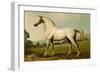 Mambrino-Samuel Sidney-Framed Premium Giclee Print