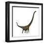 Mamenchisaurus, a Plant-Eating Sauropod Dinosaur-null-Framed Art Print