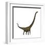 Mamenchisaurus, a Plant-Eating Sauropod Dinosaur-null-Framed Art Print