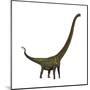 Mamenchisaurus, a Plant-Eating Sauropod Dinosaur-null-Mounted Art Print