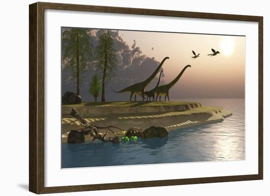 Mamenchisaurus Dinosaurs Walk to a Lake for a Morning Drink-null-Framed Art Print