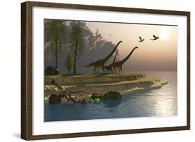 Mamenchisaurus Dinosaurs Walk to a Lake for a Morning Drink-null-Framed Art Print