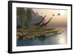 Mamenchisaurus Dinosaurs Walk to a Lake for a Morning Drink-null-Framed Art Print