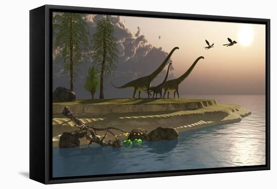 Mamenchisaurus Dinosaurs Walk to a Lake for a Morning Drink-null-Framed Stretched Canvas