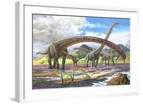 Mamenchisaurus Feeding on Brown Algae at Low Tide-null-Framed Art Print