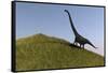 Mamenchisaurus in an Open Field-null-Framed Stretched Canvas