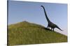 Mamenchisaurus in an Open Field-null-Stretched Canvas