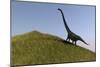 Mamenchisaurus in an Open Field-null-Mounted Art Print