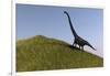 Mamenchisaurus in an Open Field-null-Framed Art Print