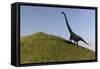 Mamenchisaurus in an Open Field-null-Framed Stretched Canvas