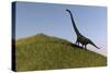 Mamenchisaurus in an Open Field-null-Stretched Canvas