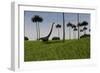 Mamenchisaurus Walking across a Grassy Field-null-Framed Art Print