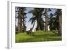 Mamenchisaurus Walking Along a Nearby Swamp-null-Framed Art Print