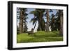 Mamenchisaurus Walking Along a Nearby Swamp-null-Framed Art Print