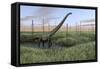 Mamenchisaurus Walking Through Wetlands-Stocktrek Images-Framed Stretched Canvas