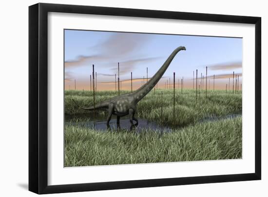 Mamenchisaurus Walking Through Wetlands-Stocktrek Images-Framed Art Print