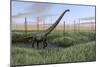 Mamenchisaurus Walking Through Wetlands-Stocktrek Images-Mounted Art Print