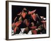 Mameys, 2002-Pedro Diego Alvarado-Framed Giclee Print