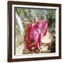 Mamie Van Doren-null-Framed Photo