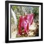 Mamie Van Doren-null-Framed Photo