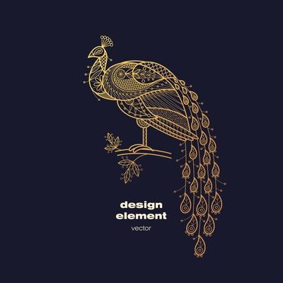 Vector Design Element - Peacock. Icon Decorative Bird Isolated on Black Background. Modern Decorati