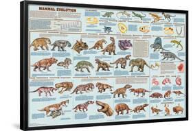 Mammal Evolution-null-Framed Poster