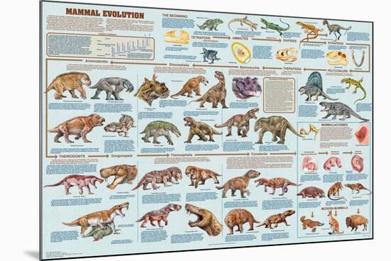 Mammal Evolution-null-Mounted Poster