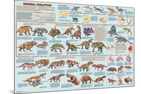 Mammal Evolution-null-Mounted Poster