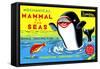 Mammal of the Seas: Whale Chasing Fish-null-Framed Stretched Canvas