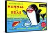 Mammal of the Seas: Whale Chasing Fish-null-Framed Stretched Canvas