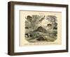 Mammals, C.1860-null-Framed Giclee Print