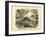 Mammals, C.1860-null-Framed Giclee Print