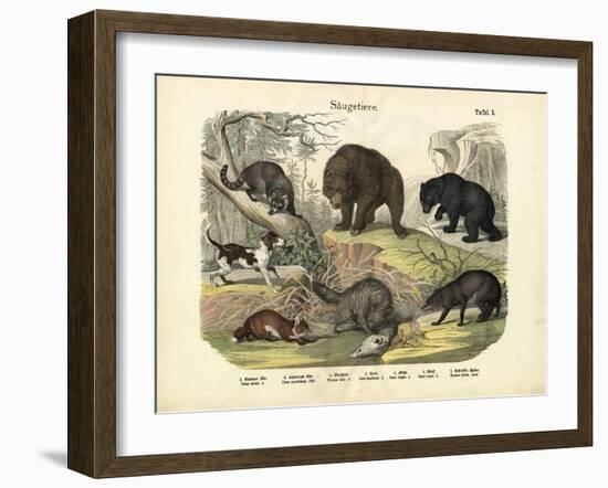 Mammals, C.1860-null-Framed Giclee Print