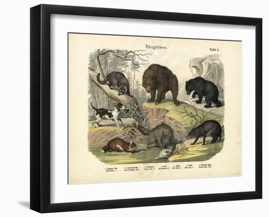 Mammals, C.1860-null-Framed Giclee Print